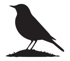 White Canvas with African Rock Pipit Silhouette vector