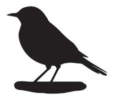 White Background Featuring African Rock Pipit Silhouette vector