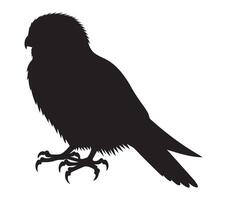 African Pygmy Falcon Silhouetted Against a White Backdrop vector