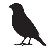 Silhouette of African Quailfinch on Blank White Background vector