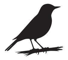 African Rock Pipit Shadow Figure on Clean White vector