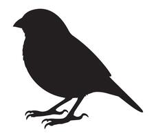 Silhouette of an African Quailfinch on a White Background vector