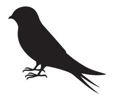 African Palm Swift Outline Against a White Background vector