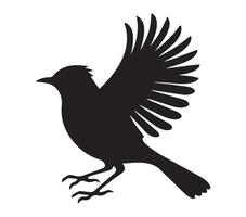 African Red-eyed Bulbul Shadow Outline on White Background vector