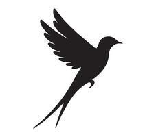 White Backdrop Highlighting African Palm Swift Silhouette vector