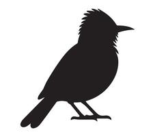 Minimal Silhouette of African Red-eyed Bulbul on White Background vector