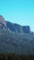 Beautiful sunset view in cedar forest in front of sayan mountain range video