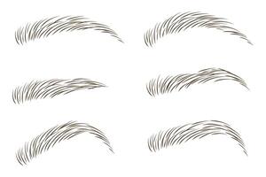 Brows set design. Different shapes and types. Various eyebrow collection. vector
