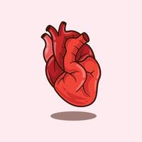 Human heart. cartoon illustration. vector