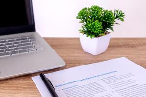 View of an accountant's desk with laptop, paperwork, and plants in pot photo