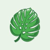 Monstera leaf. cartoon illustration. vector