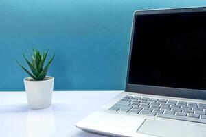 A laptop with blank screen and a artificial plant in pot on the table photo