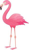 Pink flamingo is standing on its long legs, its pink feathers are neatly arranged and its long neck is curved into an elegant s shape vector