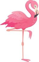 Pink flamingo is standing on one leg, with its neck curved in an elegant s shape. Its plumage is a beautiful shade of pink vector