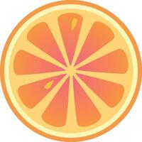illustration of a grapefruit slice with a gradient color scheme, emphasizing the juicy and refreshing nature of the fruit vector