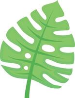 Single green monstera leaf growing upwards, with iconic splits and holes, isolated on a white background. Perfect for projects related to nature, plants, and tropical themes vector
