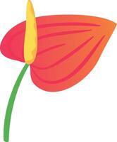Vibrant red anthurium flower blooms on a green stem against a white background, symbolizing love and adding exotic charm vector