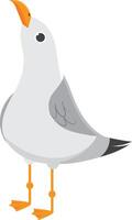 Cartoon seagull standing with its beak open looking up. This bird illustration has orange beak and legs and grey and white feathers vector