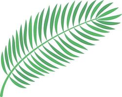 Green tropical palm leaf growing upwards, isolated on a white background. Perfect for designs related to nature, summer, or tropical themes vector