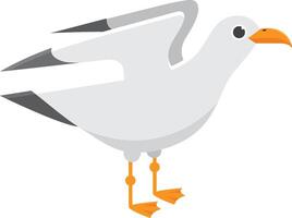 Seagull is standing with its wings folded, showcasing its elegant posture and distinctive features. Its white plumage, orange beak, and webbed feet are captured in detail vector