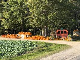 A vibrant autumn scene with pumpkins stacked high on wooden crates in front of a rustic barn. A hayride wagon sits nearby, inviting visitors to enjoy the fall festivities photo