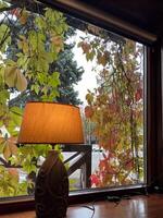 A minimalist cafe interior with a touch of autumn charm. The warm lamp and wooden table create a cozy atmosphere, while the vibrant foliage outside adds a pop of color. photo