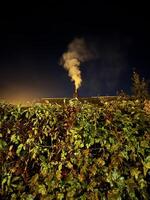 A single chimney billows smoke against a dark night sky, partially obscured by lush green foliage. The warm glow of the fire contrasts with the coolness of the night. photo