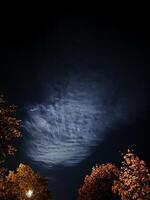 A crescent moon is partially hidden behind tree leaves, casting an ethereal glow on the low-hanging clouds below. photo