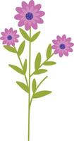 Spring Flower with Flat Cartoon Design. Isolated Illustration on White Background. vector