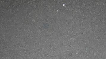 Concrete grey wall texture may used as background photo