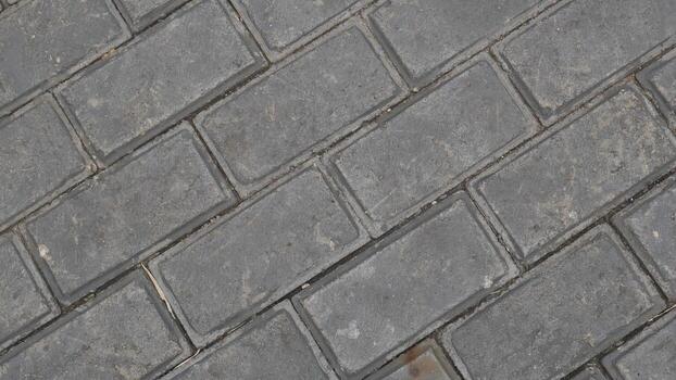 Luxury paver installation at a custom home with blocks Blok photo