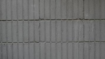 Luxury paver installation at a custom home with blocks Blok photo