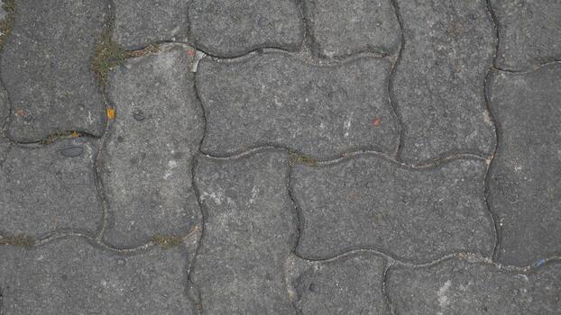 Luxury paver installation at a custom home with blocks Blok photo