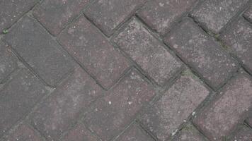 Luxury paver installation at a custom home with blocks Blok photo