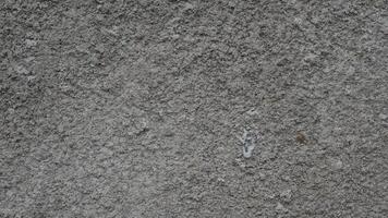 Concrete grey wall texture may used as background photo