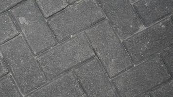 Luxury paver installation at a custom home with blocks Blok photo