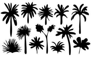 Abstract silhouette hand drawn shapes, boho elements, plants, and palm trees in the style of Matisse on a white background vector