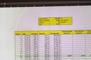 Shot of an dark mode excel sheet on computer screen showing bank loan amortization table. Banking photo