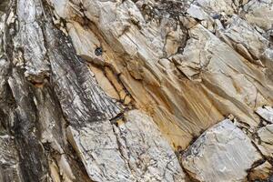 Rough surface of marble rocks, Rustic marble texture, natural Matt marble, texture abstract background photo