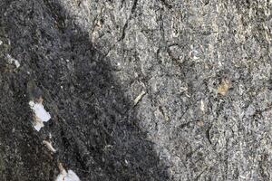 Rough surface of marble rocks, Rustic marble texture, natural Matt marble, texture abstract background photo