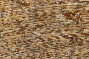 Circular Saw Blade marks on marble, Rustic marble texture, natural Matt marble, texture abstract background photo