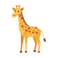 Top Giraffe Art for Web and Print Design. vector