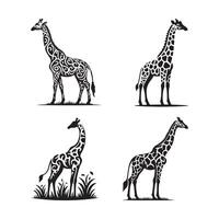 Set of Giraffe Art for Creative Projects. vector