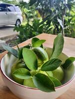 Close up of green ripe lemon fruit and green leaves in bowl, with pebbles background, Green Lemons with Rustic Vibes photo
