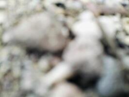 Abstract View of Rocks in Gentle Hues, out of focus pebbles photo
