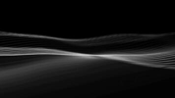 Flowing wave structure with fine lines on black background. Seamless loop. video