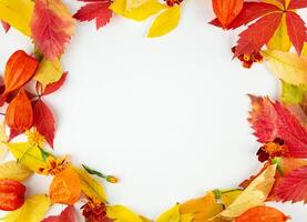 Autumn frame of multi-colored leaves on a light background. Autumn concept. Autumn postcard. Copy space. photo