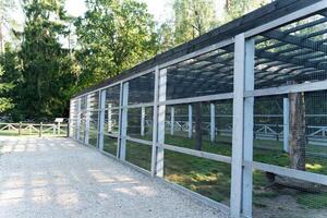 Animal enclosure in a wildlife park photo