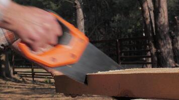A person is using a hand saw to cut a piece of wood while surrounded by tall trees in a serene forest environment. The focus is on the precision of the sawing action. video