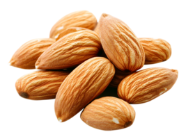 Dry Almonds transparent background dry brown nuts Almonds transparent background png
